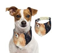 Tcoay Black Golden Cavalier King Charles Spaniel,Pet Bib Scarf Cats Dog Bandana Dogs Towel Bib Adjustable Pet Scarf,M