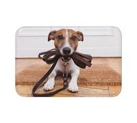 Tcoay Dogs Jack Russell Terrier Animals,Doormat Carpet Mat Rug Polyester Non-Slip Floor Decor Absorbent Bathroom Pad