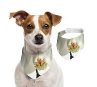 Tcoay Floral White Flowers Orchid Elegant Modern Trendy,Pet Bib Scarf Cats Dog Bandana Dogs Towel Bib Adjustable Pet Scarf,L