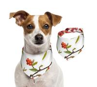 Tcoay Fresh Pomegranate,Pet Bib Scarf Cats Dog Bandana Dogs Towel Bib Adjustable Pet Scarf,S