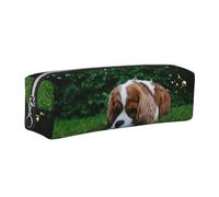Tcoay Leather Cosmetic Pouch Bag Pencil Case Portable Cylindrical Pencil Pouch with Zipper,Cavalier King Charles Spaniel Brownish White