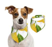 Tcoay Lemon Leaf,Pet Bib Scarf Cats Dog Bandana Dogs Towel Bib Adjustable Pet Scarf,L