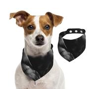Tcoay Lovely Black Labrador Dog,Pet Bib Scarf Cats Dog Bandana Dogs Towel Bib Adjustable Pet Scarf,M