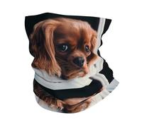 Tcoay Neck Gaiter Neck Warmer Soft Face Cover Tube Half Face Mask Scarf Balaclava,Ruby Cavalier King Charles Spaniel Puppy Dog