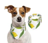 Tcoay Patterned Exotic Lemon Tree Branches Yummy Delicious,Pet Bib Scarf Cats Dog Bandana Dogs Towel Bib Adjustable Pet Scarf,M