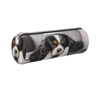 Tcoay Pencil Case Leather Cosmetic Pouch Bag Portable Pencil Pouch with Silver Zipper,Cavalier King Charles Spaniel Dog