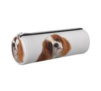 Tcoay Pencil Case Leather Cosmetic Pouch Bag Portable Pencil Pouch with Silver Zipper,Cavalier King Charles Spaniel