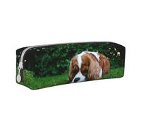 Tcoay Pencil Case Portable Cylindrical Pencil Pouch with Zipper Leather Cosmetic Pouch Bag,Cavalier King Charles Spaniel Brownish White