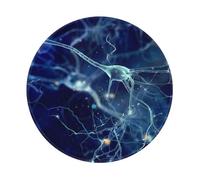 Tcoay Waterproof Mouse Mat,8 in Round Mouse Pad, Non-Slip Rubber Base Mouse Pad,3D Brain Cell Neuron Neurology