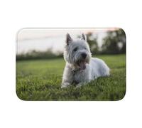 Tcoay Westie Lawn West Highland White Terrier Dogs,Doormat Carpet Mat Rug Polyester Non-Slip Floor Decor Absorbent Bathroom Pad