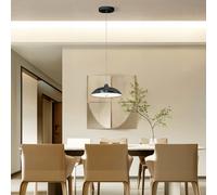 Tcp Single Unit Black Hanging Pendant Ceiling Light, Ip20 With Switchable Cct Options