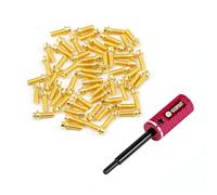 TCRC 75PCS Carbon Steel M1.4x4mm Beadlock Screws with Aluminum Easy Handheld Installation Tool for 1.0inch 1.3inch Wheel hubs,Gold