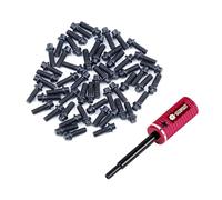 TCRC 75PCS Carbon Steel M1.4x4mm Beadlock Screws with Aluminum Easy Handheld Installation Tool for 1.0inch 1.3inch Wheel hubs,Black