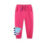 TCWWBB Girls Sweatpants Cotton Dinosaur Pattern Tracksuit Bottom Kids Jogger Pants for 5-6 Years Old