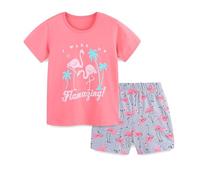 TCWWBB Toddler Girls Summer Short Outfits Clothes Set Kids Unicorn Bunny Animal Print Short Sleeve Cotton T-Shirt Dresses Tops and Shorts 2 Piece Crewneck Sleeveless Clothing Set Age 1-7 Years Old