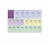 TCYNNQVD Genetic Code Amino Acids Chart Poster DNA Codon Table Reference Canvas Wall-Art for Med Student Biology Study Aid Gift(Framed,16x24inch(40x60cm))