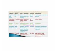 TCYNNQVD Safe Food Handling Canvas Print Essential Kitchen Hygiene Poster for Restaurant or Home Cooks Decor(Unframed,08x12inch(20x30cm))