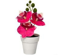 TDCuizent 3 for stem Artificial Phalaenopsis for orchid Pot 18cm Real Touch(Flower Red)