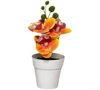 TDCuizent 3 for stem Artificial Phalaenopsis for orchid Pot 18cm Real Touch(Orange-yellow)