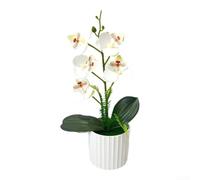 TDCuizent Artificial Phalaenopsis Orchid Flowers in Vertical Pot | Realistic 5-Bloom Fake Orchid Plant Arrangement for Home Office Wedding Decor 30.5cm Tall Soft Plastic Floral Display