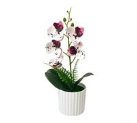 TDCuizent Artificial Phalaenopsis Orchid Flowers in Vertical Pot | Realistic 5-Bloom Fake Orchid Plant Arrangement for Home Office Wedding Decor 30.5cm Tall Soft Plastic Floral Display