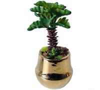 TDCuizent Artificial Tree Luxury Gold-Plated Realistic Fake Plant Tabletop Decor With Pot 21Cm Small Desktop Greenery Ornament For Home Office Restaurant Hotel Living Room Black White Grey(Q042C1S147)