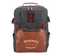 TDL Hogwarts, Harry Potter, Unisex, 30L Premium, Backpack