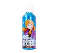 TDL Templar Disney Frozen Elsa and Anna Kids Aluminum Water Bottle School Travel 520ml BPA Free