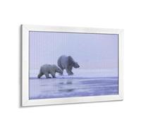 TDXYz Snow Ice Two Polar Bears Diamond Painting Kit, 5D Diamond Art Painting, 30x40cm/11.81x15.74, Modern Arctic Theme, Non-Foldable, For Teens