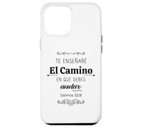 Te haré entender, y te enseñaré el camino en que debes andar Case for iPhone 12 Pro Max