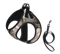 Tea Cups with Roses Romantic Print Soft Mesh Dog Harness and Leash Set Pet Puppy Cat Comfort Padded Vest No Pull Harnesses