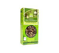 Tea from Angelica Root BIO 100 g - DARY NATURY