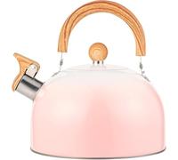 Tea Kettle, 3 Quart Whistling Water Kettle with Cool Touch Ergonomic Folding Handle, Food Grade Stainless Steel Tea Pots Camping Coffee Pot for Stove Top (Gradient Pink)