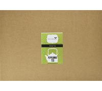 Tea People Peppermint Tea Pyramids Caddy (Pack of 20)