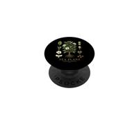 Tea Plant Camellia sinensis Vintage Botanical Anatomy Study PopSockets Adhesive PopGrip
