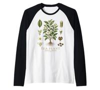 Tea Plant Camellia sinensis Vintage Botanical Anatomy Study Raglan Baseball Tee
