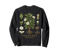 Tea Plant Camellia sinensis Vintage Botanical Anatomy Study Sweatshirt