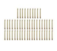 Tea Stem Stud Earrings, 50pcs Tea Rod Ear Studs Stick, Prevent Inflammation and Cure Ear Hole, Hand - Picked Tea Sticks for Women with Plastic Case, Ear Care (Slim Style)