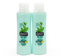 Tea Tree Tingle Conditioner - Detangles, Smoothens, Invigorates for Glamorous Hair Every Day! Refreshing Minty Freshness for All Hair Types, 350 ml, Pack of 2