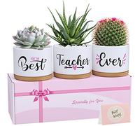 Teacher Appreciation Gifts for Women, Unique Best Teacher Ever Ceramic Succulent Plant Pots, Teacher's Day Graduation Retirement Birthday Christmas Appreciation Week Gifts for Teacher from Students