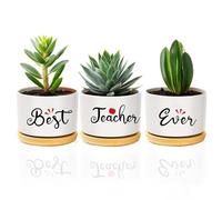 Teacher, Best Teacher Ceramic Flower Plant Bonsai Pots Planters And Trays Birthday Christmas Valentines Thank You Retirement End of The Year Leaving Appreciation Gifts Presents