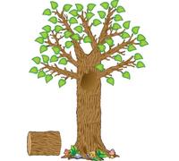 Teacher Created Resources Seasonal Tree Bulletin Board Display Set (4405), Multi Color