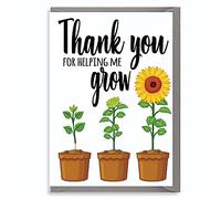 Teacher Thank You Card - Head Teacher Card for Appreciation, Teacher Cards Christmas, Nursery & Teaching Assistant Gratitude, End of Term & Appreciation Day - Helping me grow K6