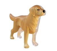 Teaching 4D Animal Dog Animal Organ Anatomy Model 30 Parts Detachable Science Supplies Skeleton Model