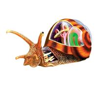 Teaching Anatomical Snail 32 Detachable Organs and Parts 4D Anatomy Anatomy Anatomical Model for Biology Animal Educational Template for School Skeleton Model