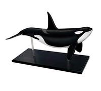 Teaching Educational Model Model for Dolphin Organ Anatomy 4D Assembled Visceral Animal Science Education Toy Veterinary Animal Organ Biology Visceral Animal Model Skeleton Model