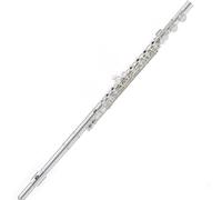 Teaching Exercises Flute Instrument 16/17 Open And Closed Hole Dual-purpose Professional C-key Silver-plated Beginner Standard Adult Musical Instrument(16holesclosed)