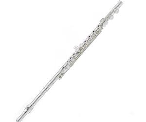 Teaching Exercises Flute Instrument 16/17 Open And Closed Hole Dual-purpose Professional C-key Silver-plated Beginner Standard Adult Musical Instrument(17holesclosed)