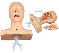 Teaching Model,Advanced Suction Training Model Nasal Cavity Oral Advanced Suction Practice Model Aspiration of Sputum Manikin for Mannequin Patient Education Teaching Tool PVC