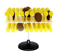 Teaching Model Cell Membrane Structure Anatomy Model Cell Flow Mosaic Component Biological Teaching Demonstration Equipment Science Models Study Resources Anatomy Model